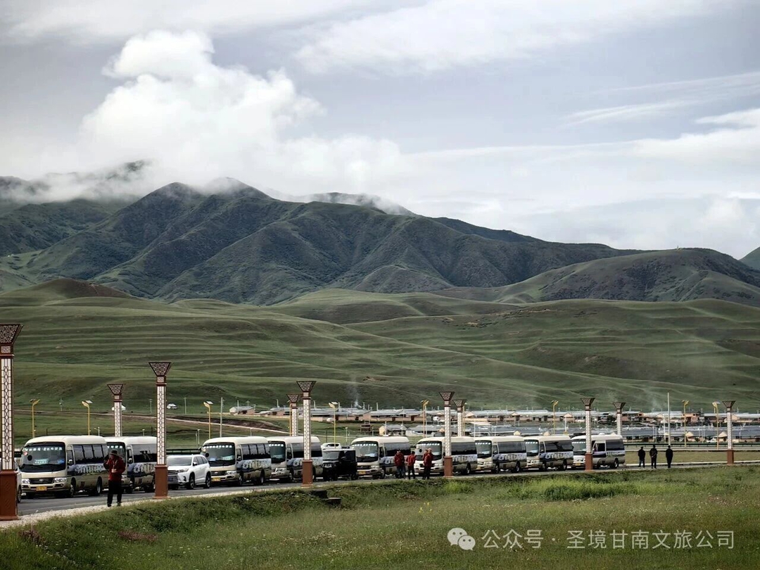 1784342992599844.jpg 官网3.jpg
